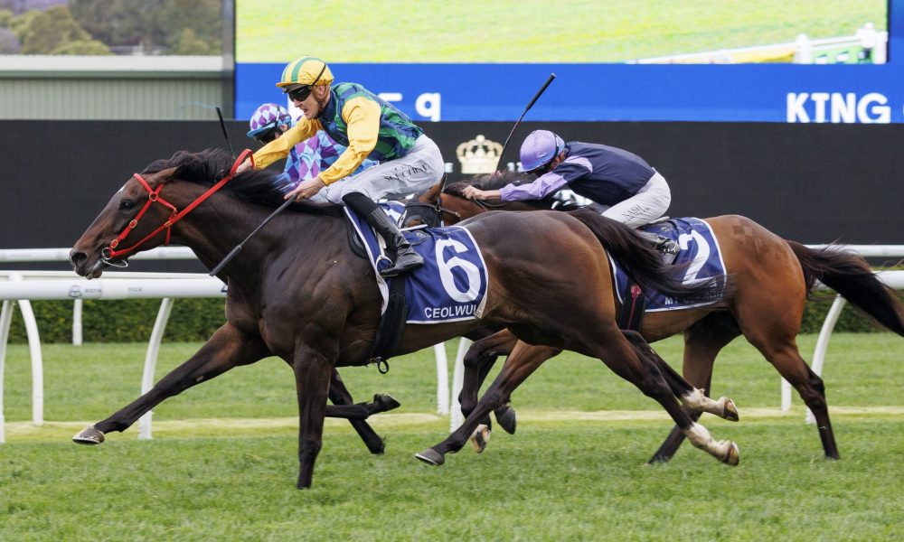 趋势结合的 趋势结合的