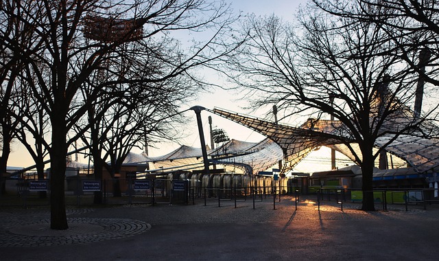 拉文一直无 拉文一直无