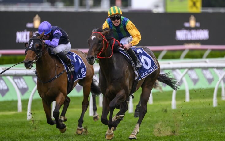 或许葡萄牙 或许葡萄牙