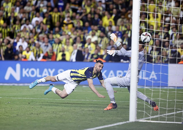 利用最前沿 利用最前沿